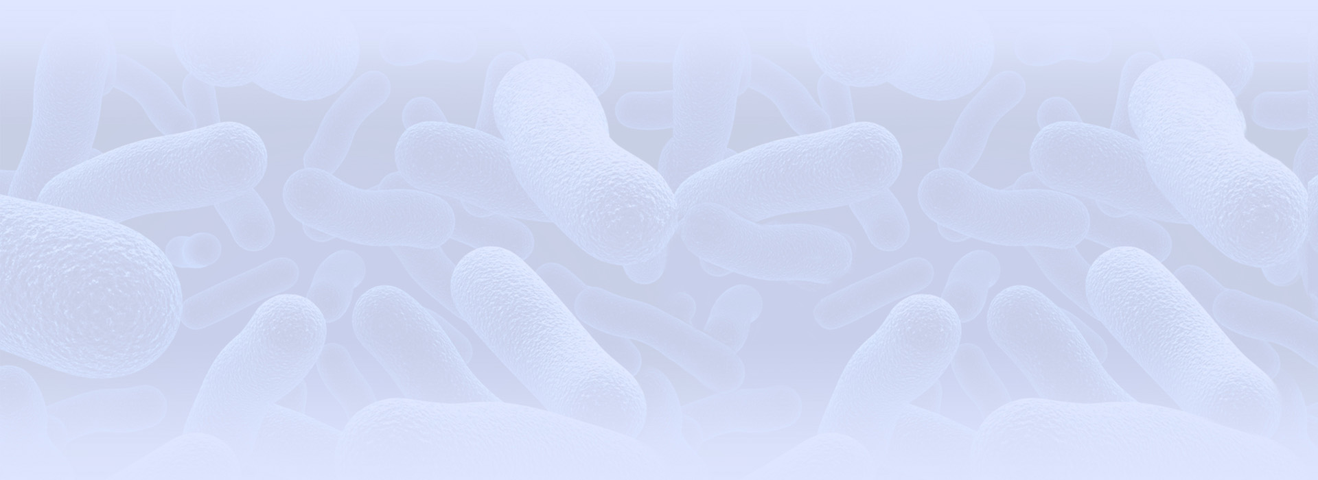 bg2
